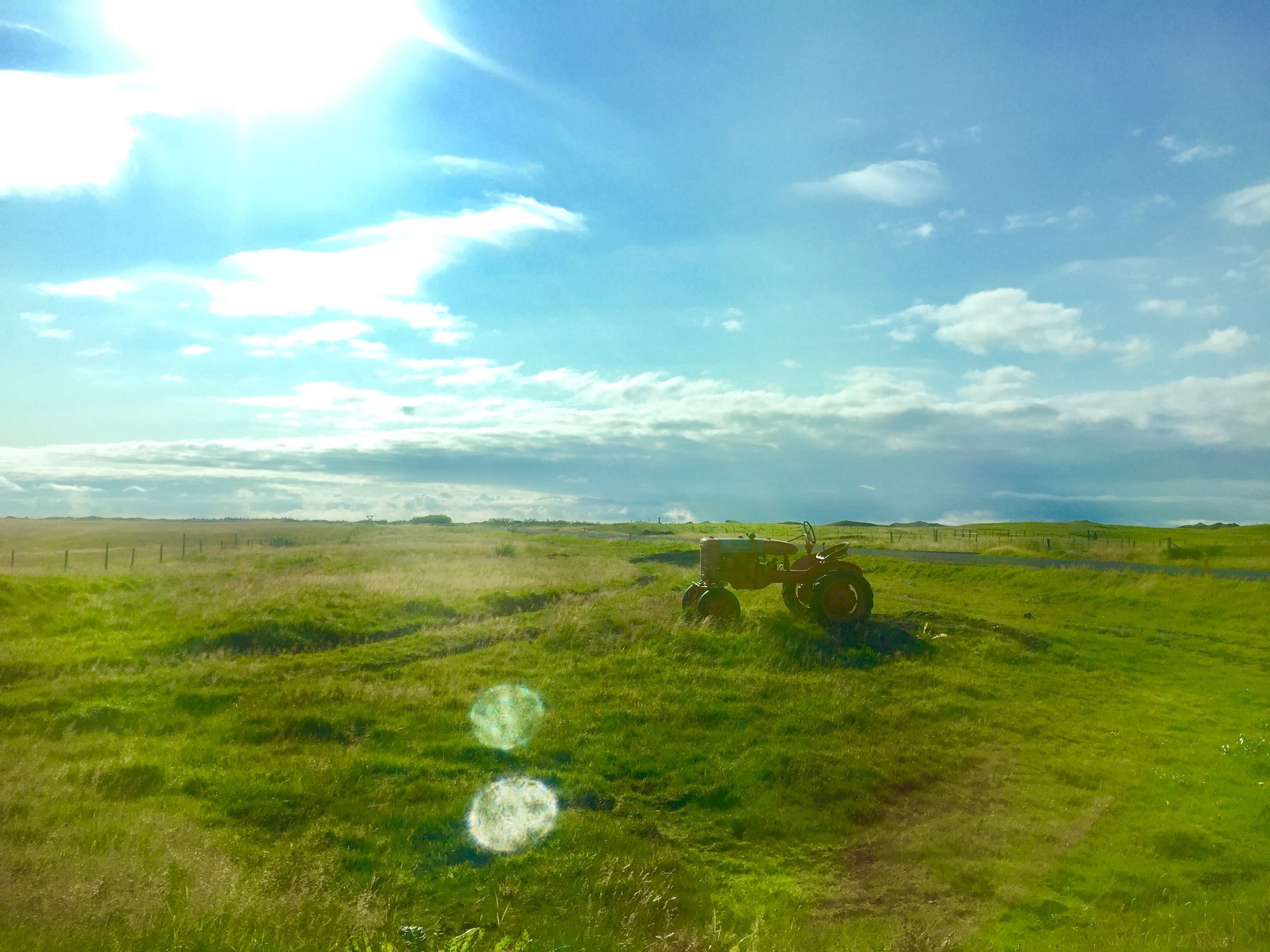 Iceland photo 267