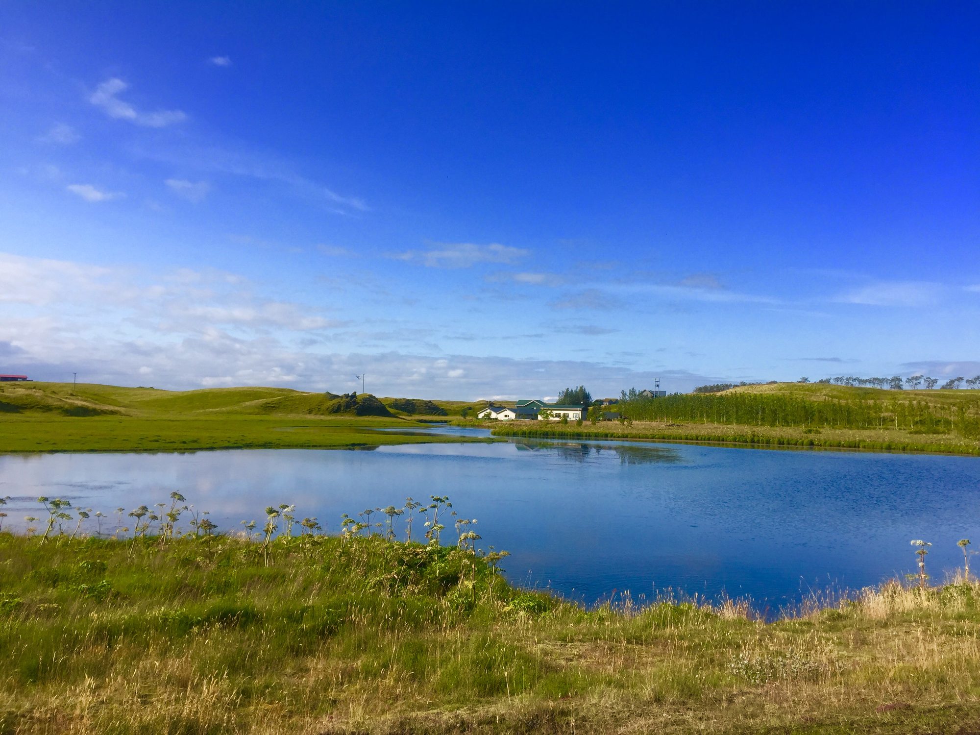 Iceland photo 286