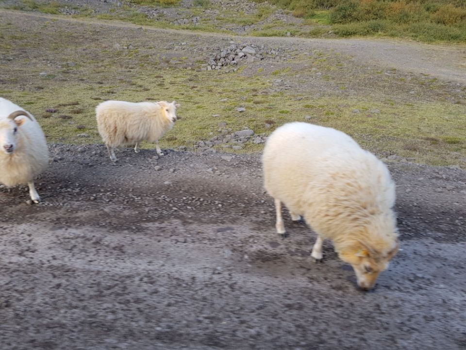 Iceland photo 331
