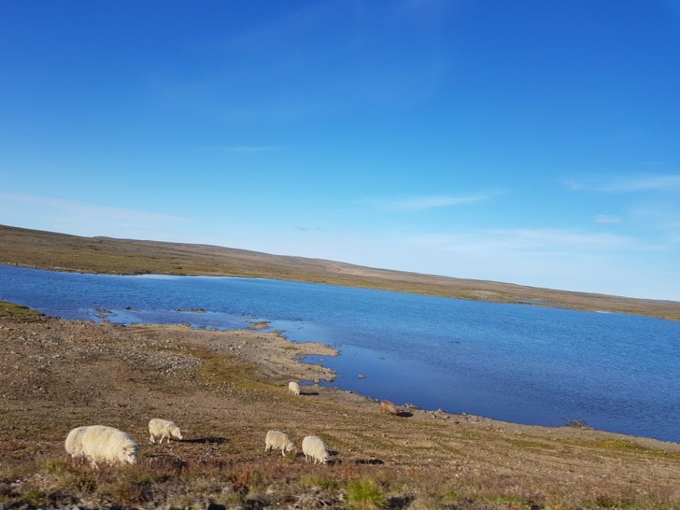 Iceland photo 334
