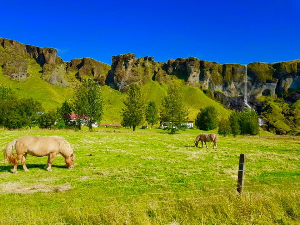 Iceland photo 351