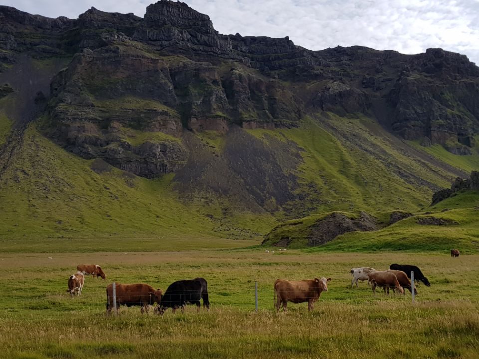 Iceland photo 358