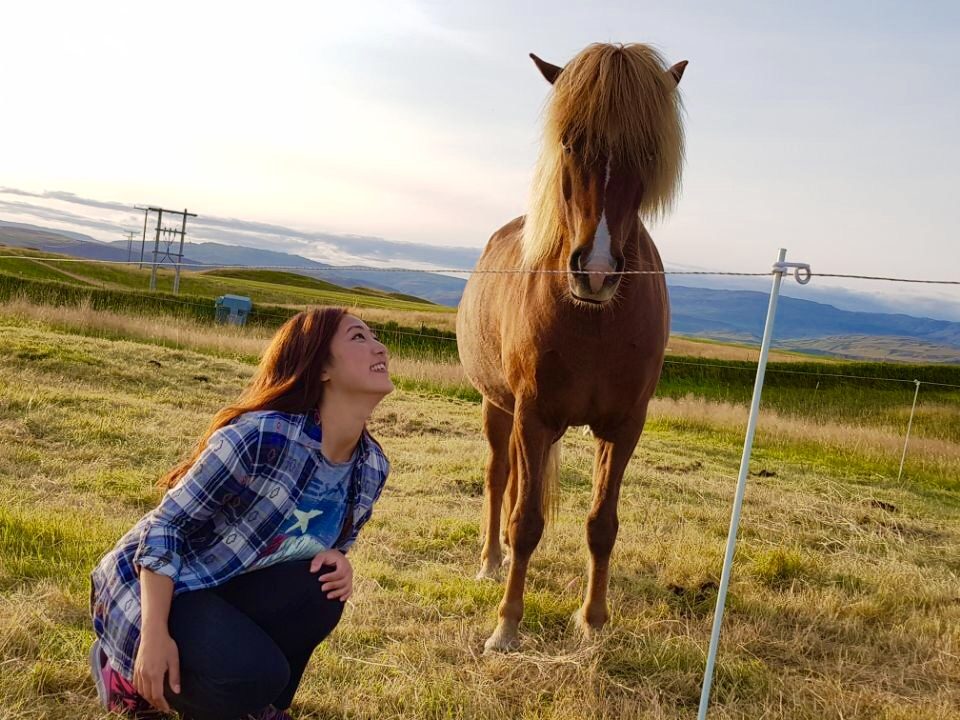 Iceland photo 371