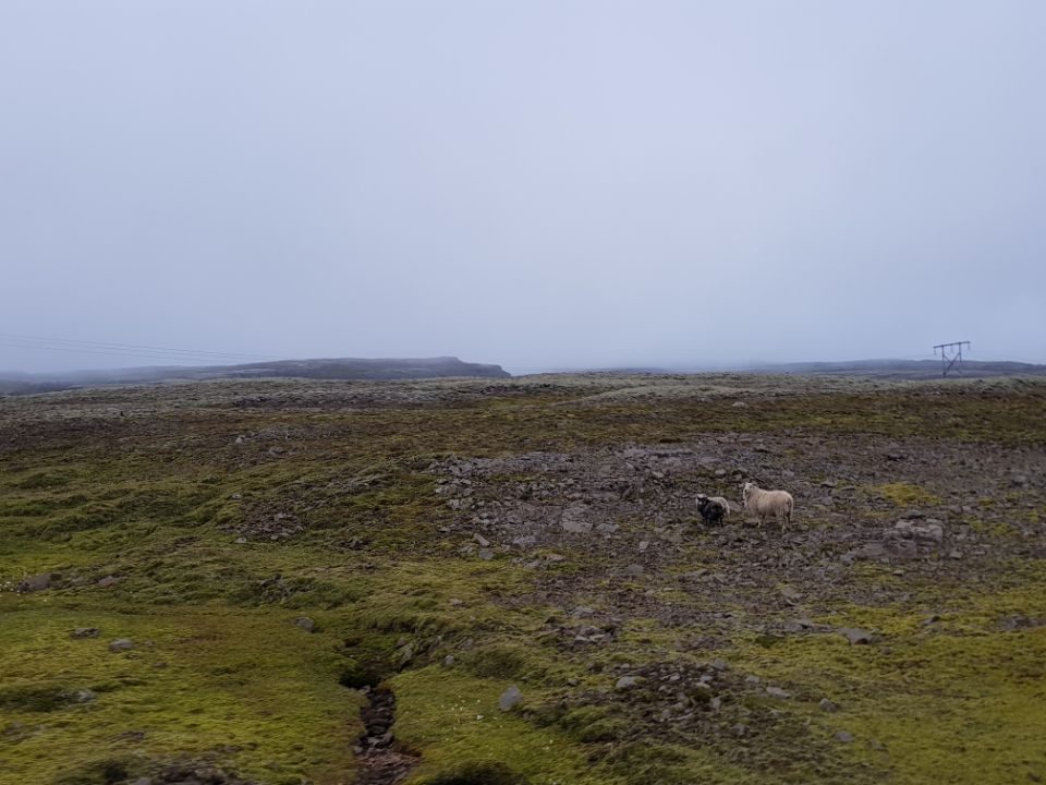Iceland photo 374