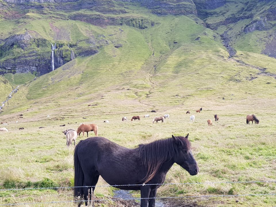 Iceland photo 40