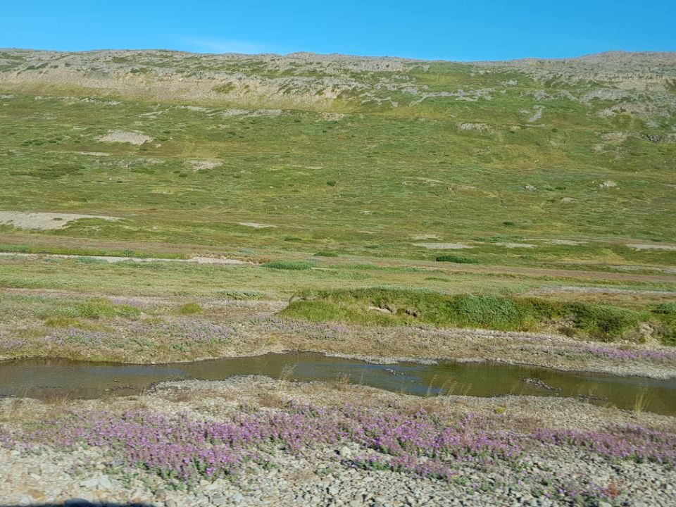 Iceland photo 409