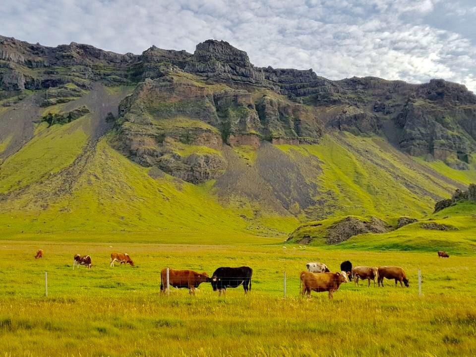 Iceland photo 417