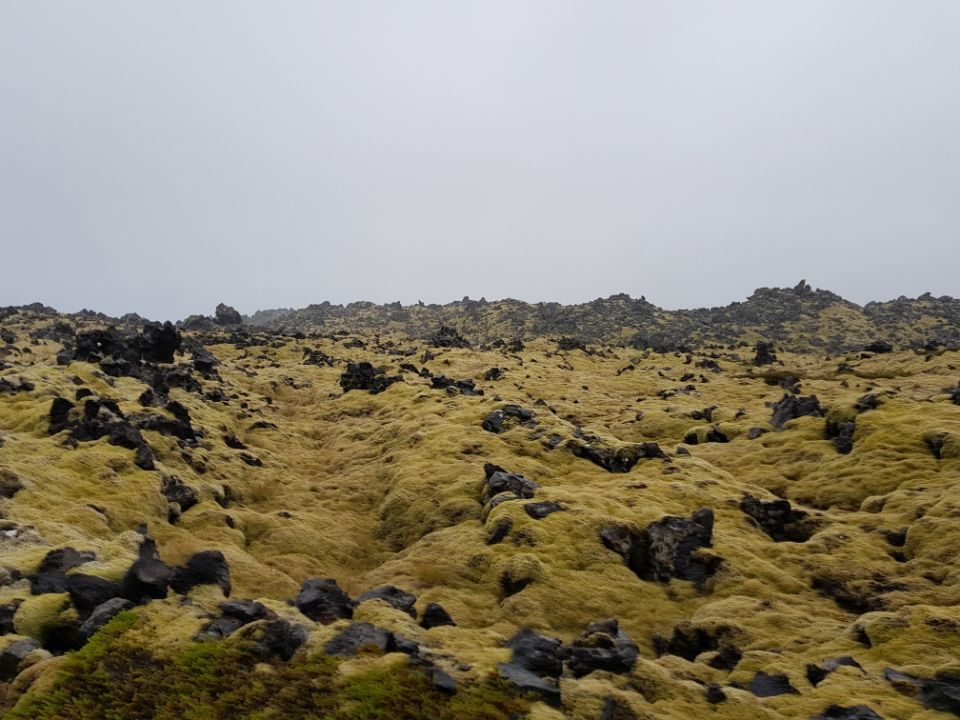 Iceland photo 432