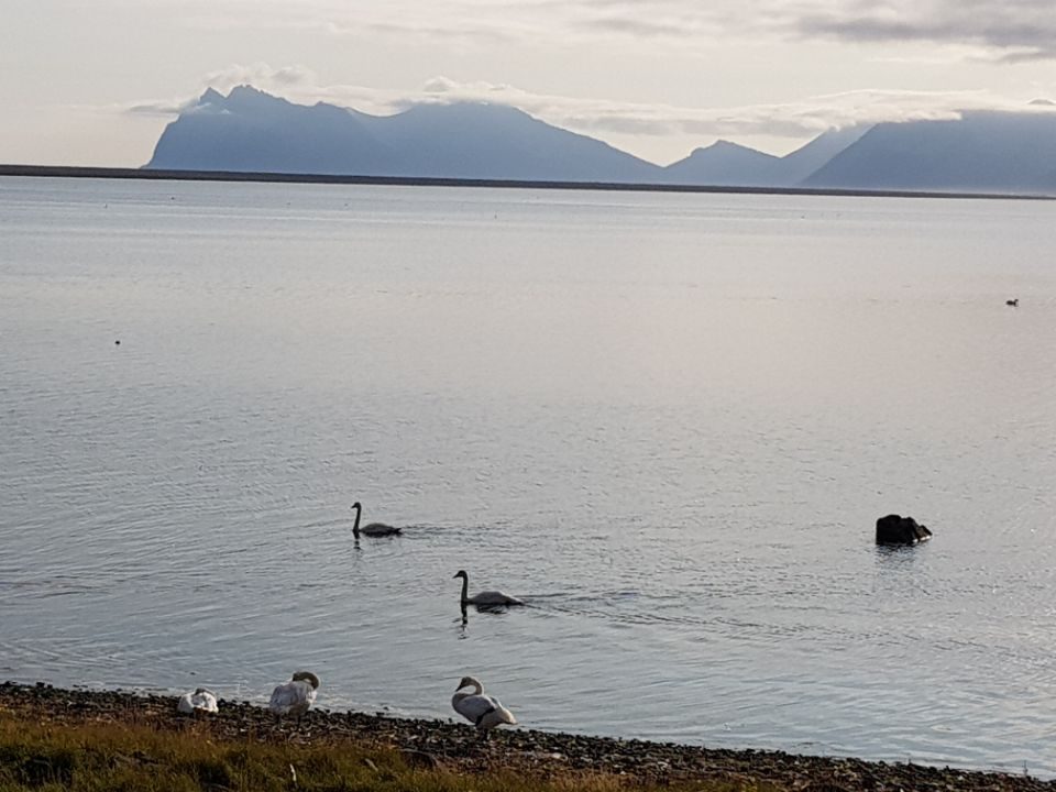 Iceland photo 441