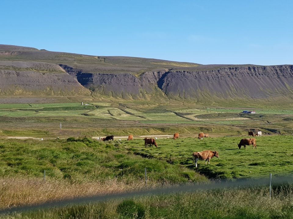 Iceland photo 453