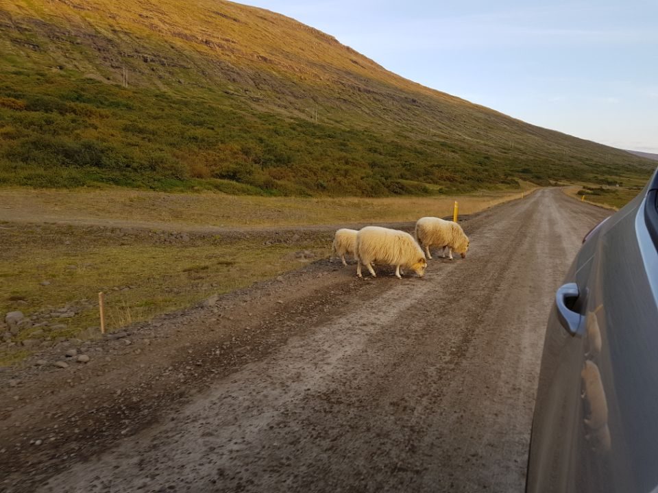Iceland photo 47