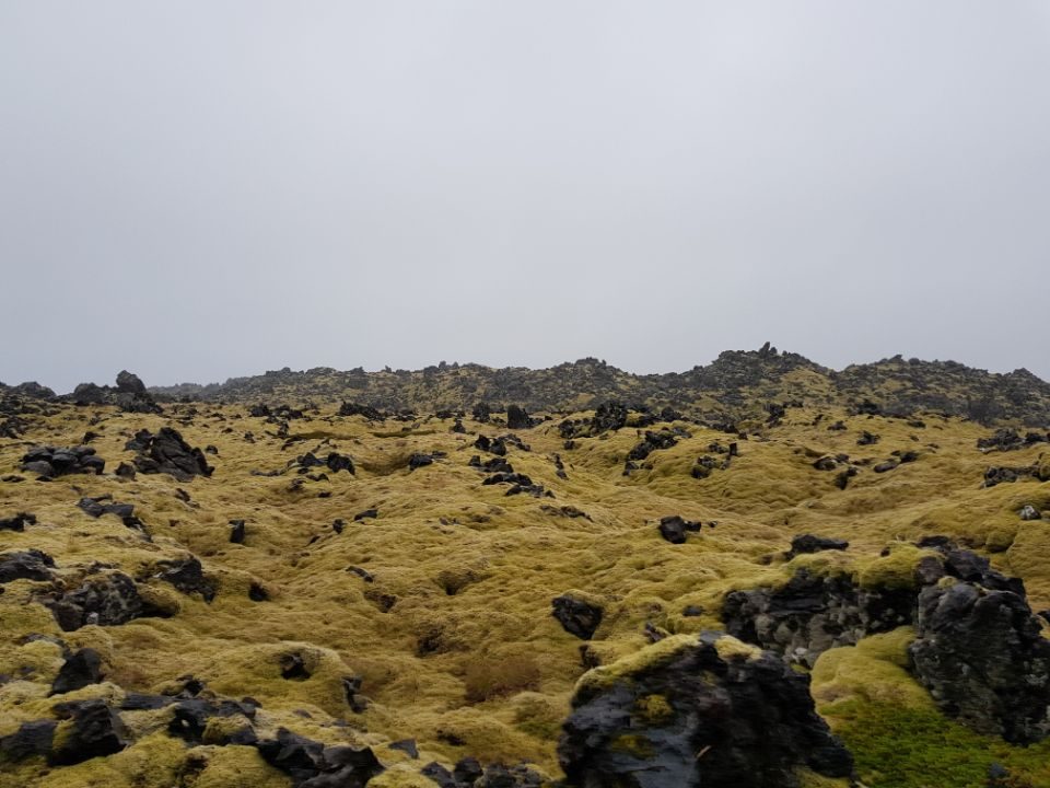 Iceland photo 59