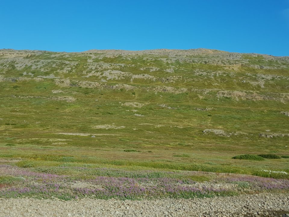 Iceland photo 66