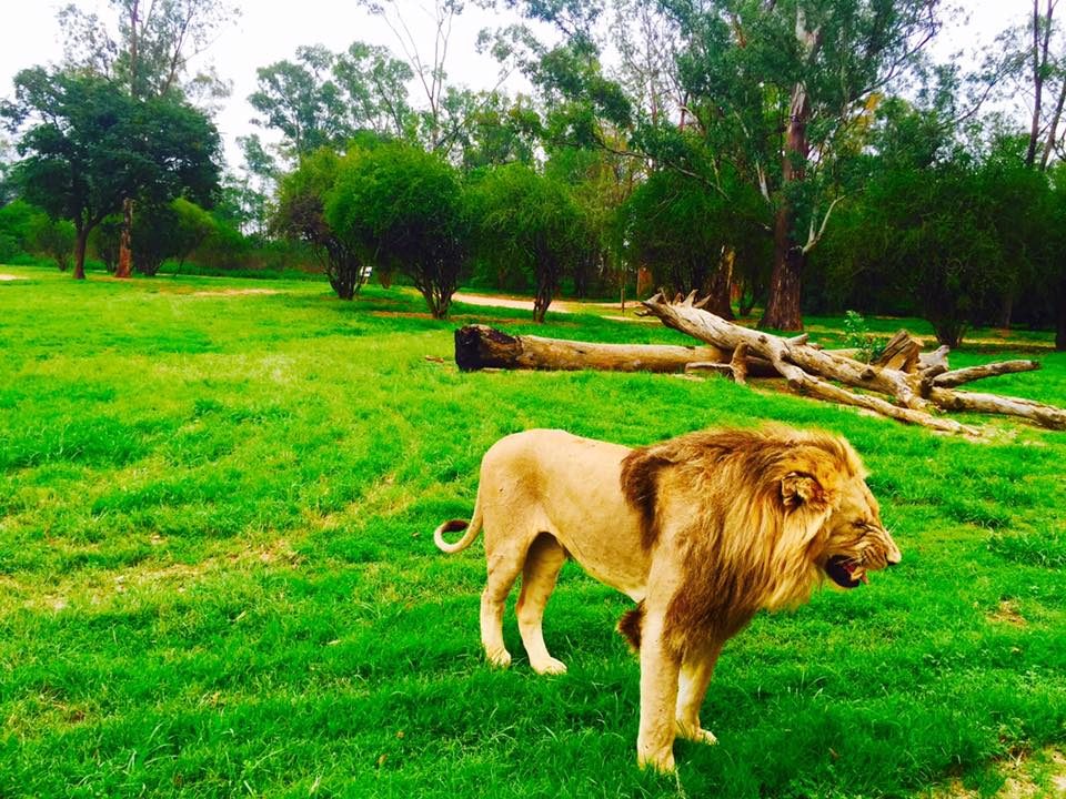 Johannesburg, South Africa photo 4