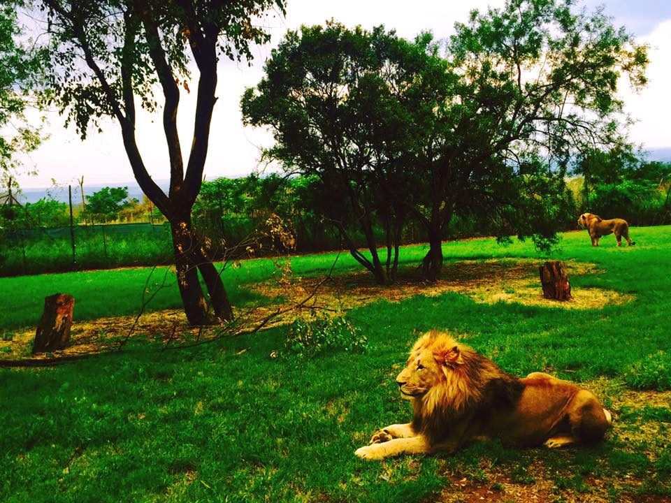 Johannesburg, South Africa photo 6