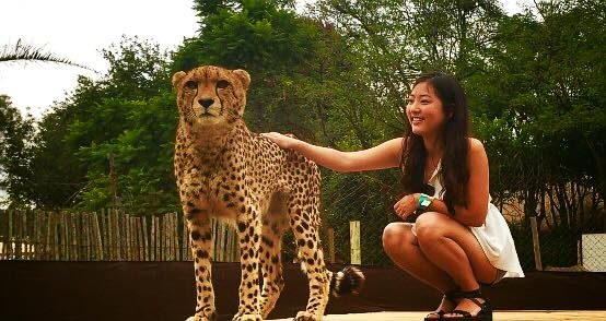 Johannesburg, South Africa photo 12