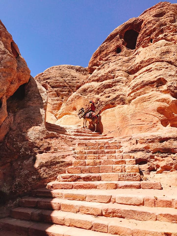 Petra & Jerash, Jordan photo 9