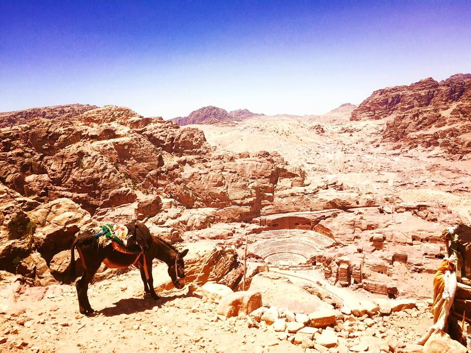 Petra & Jerash, Jordan photo 12