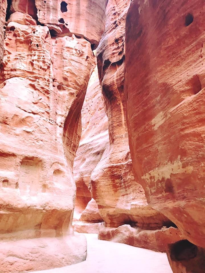 Petra & Jerash, Jordan photo 32