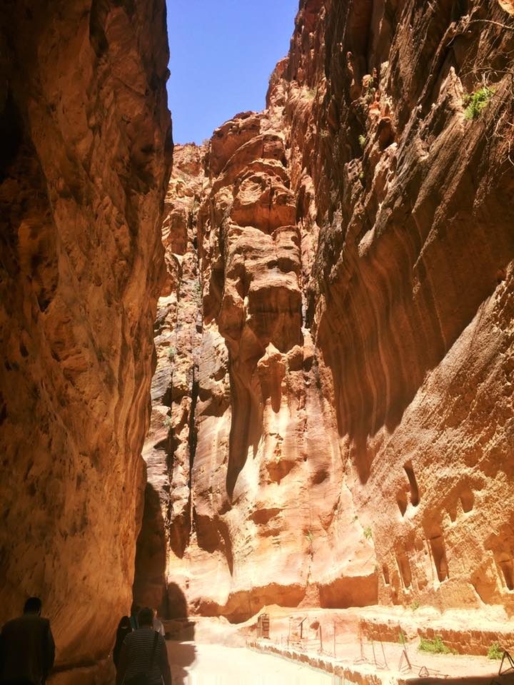Petra & Jerash, Jordan photo 33