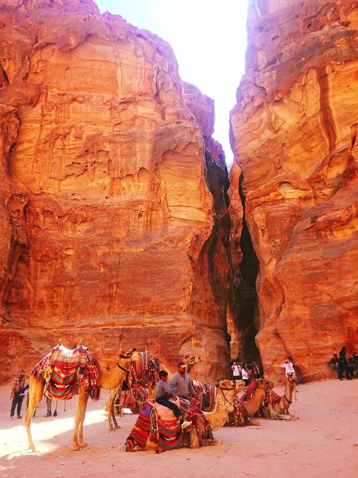 Petra & Jerash, Jordan photo 40
