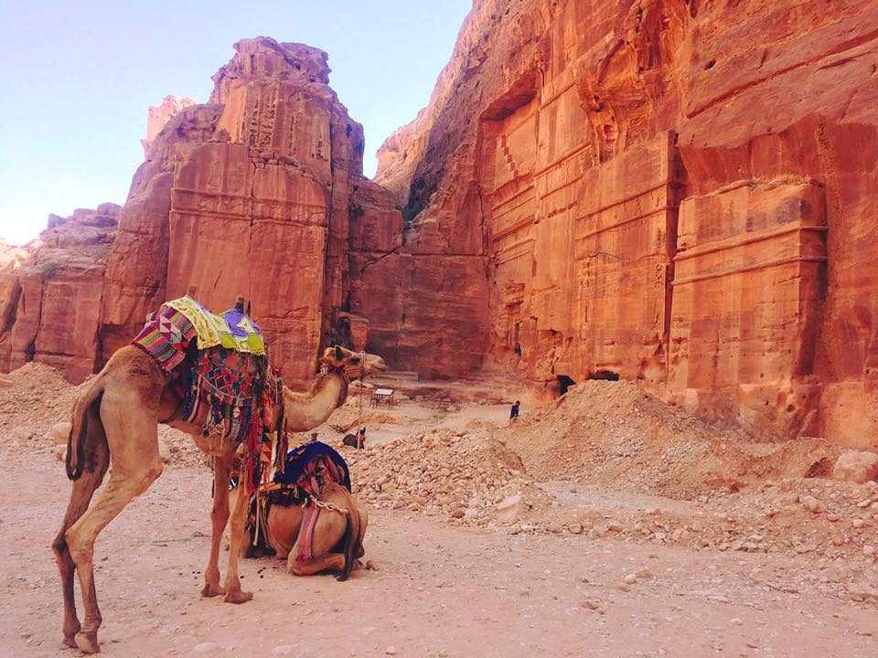 Petra & Jerash, Jordan photo 41