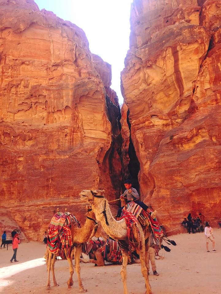 Petra & Jerash, Jordan photo 44
