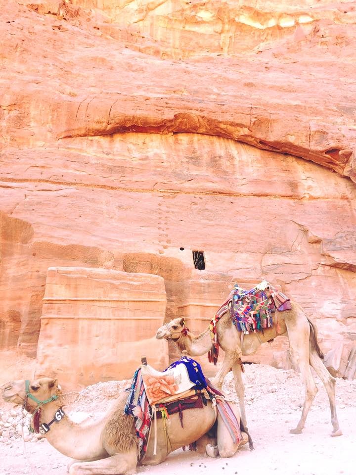 Petra & Jerash, Jordan photo 47