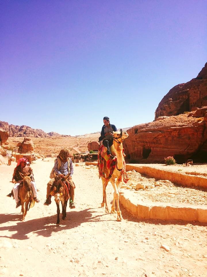 Petra & Jerash, Jordan photo 59