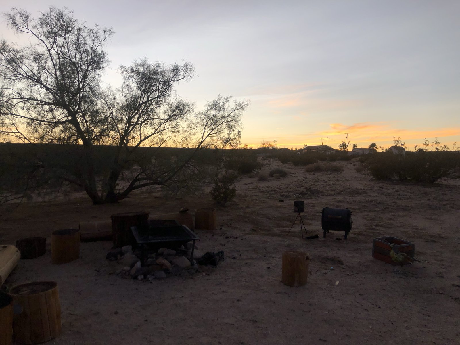 Joshua Tree National Park, California photo 4