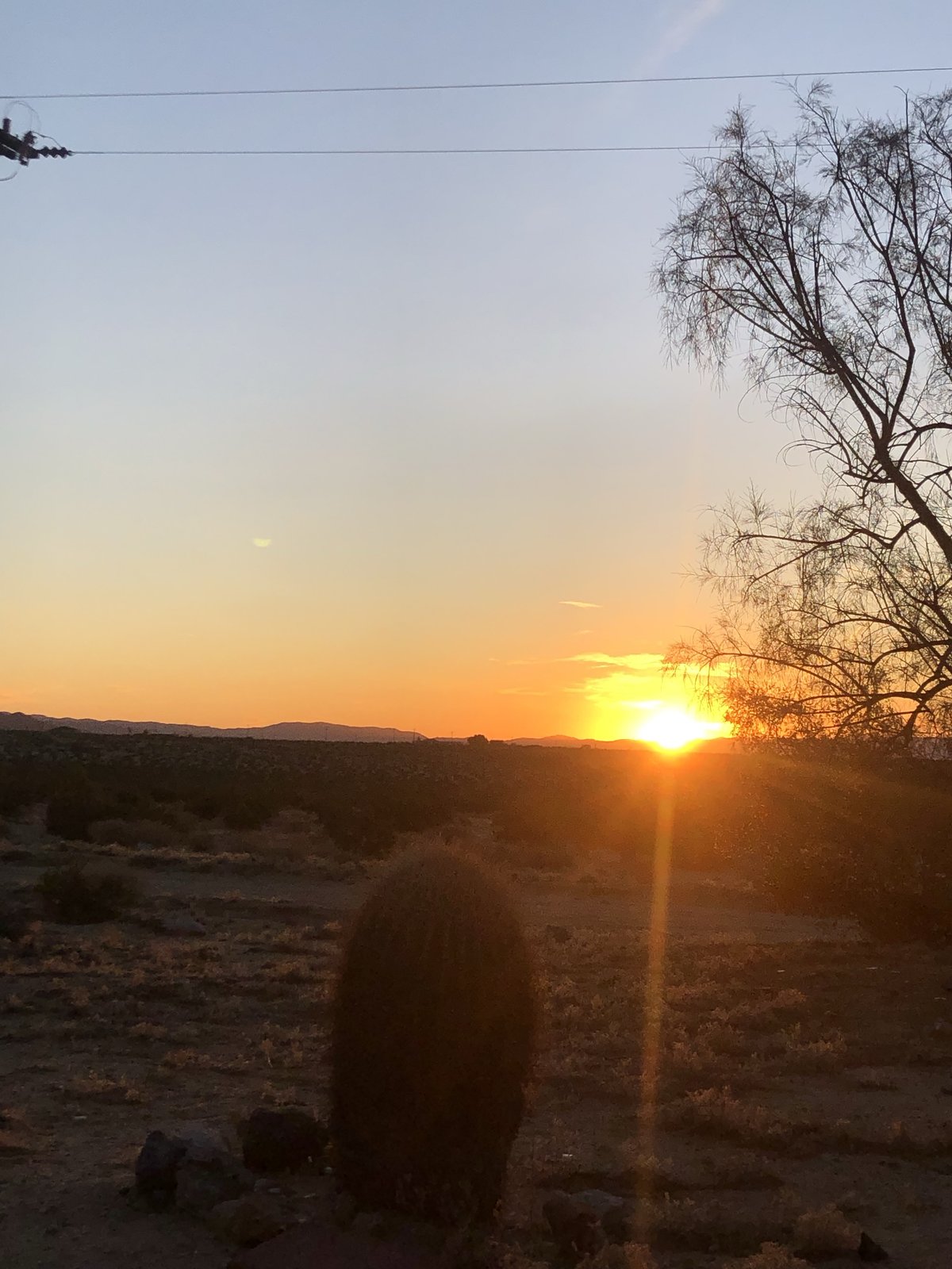 Joshua Tree National Park, California photo 6