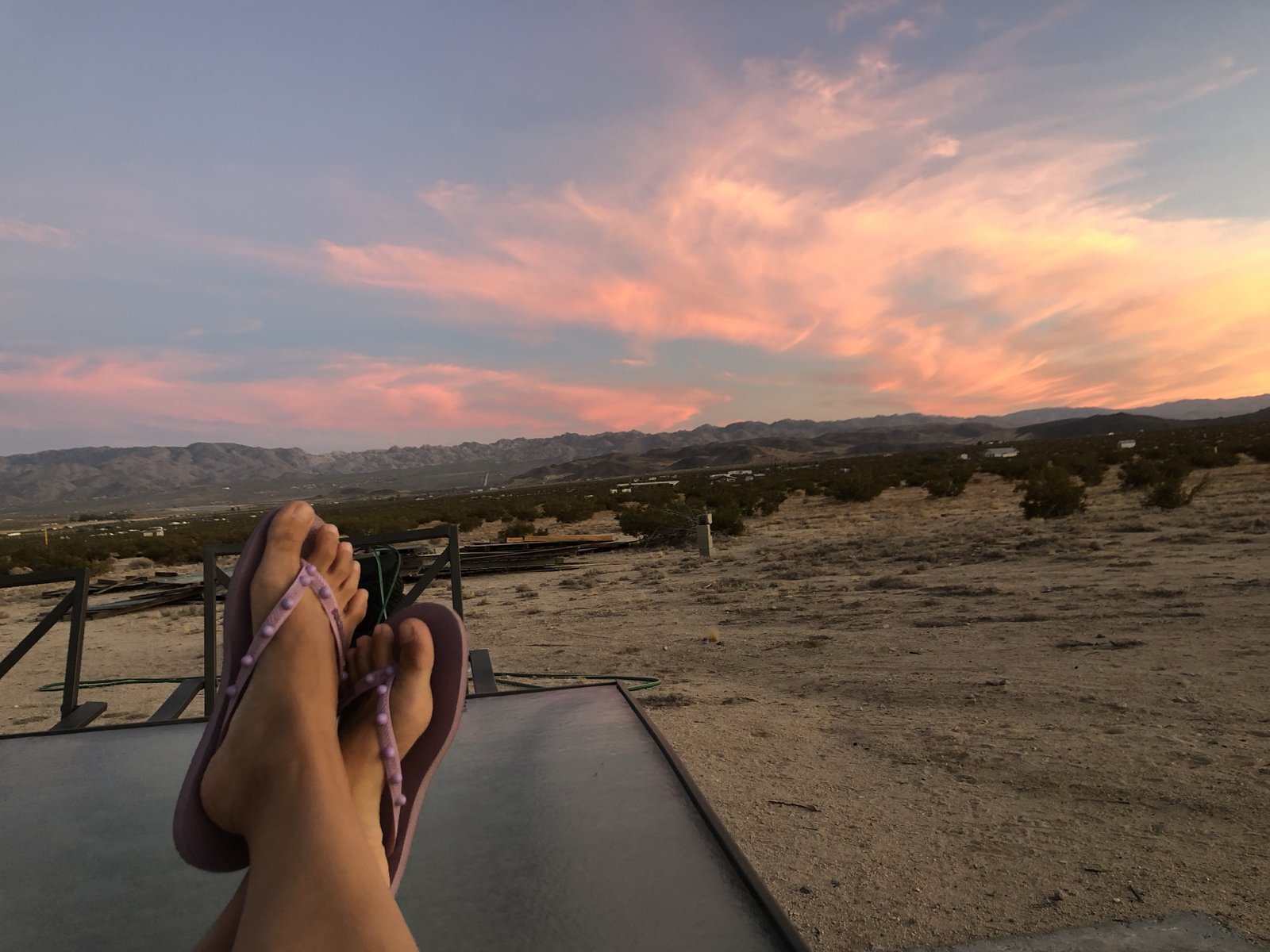 Joshua Tree National Park, California photo 13