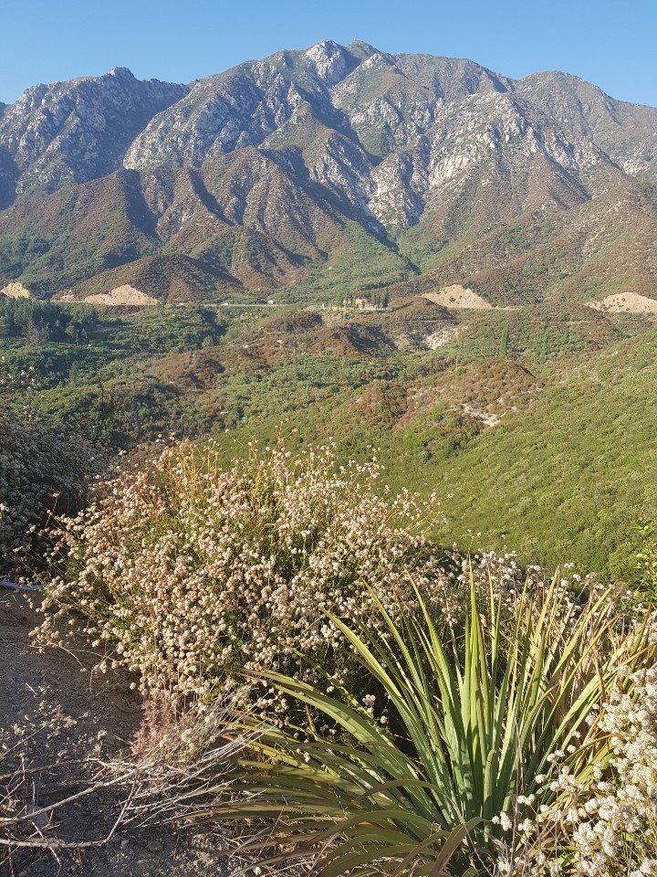 Los Angeles, USA photo 35