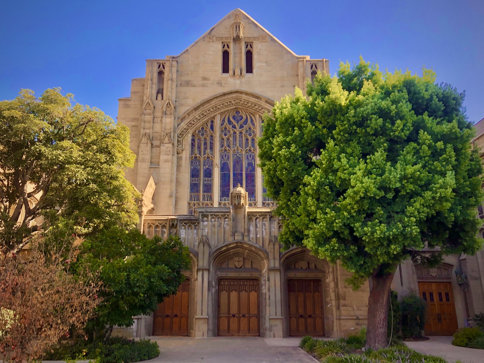 Los Angeles, USA photo 38