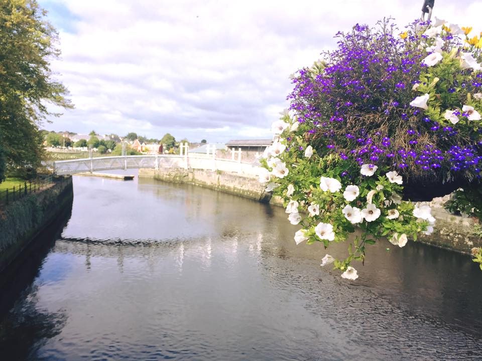 Limerick, Ireland photo 10