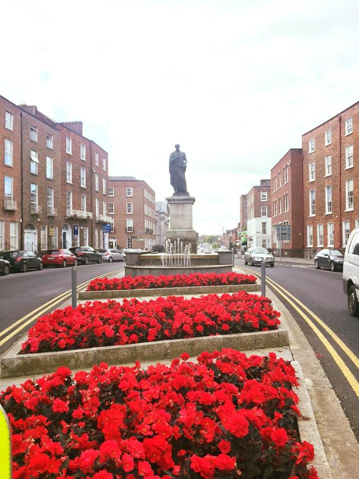 Limerick, Ireland photo 11