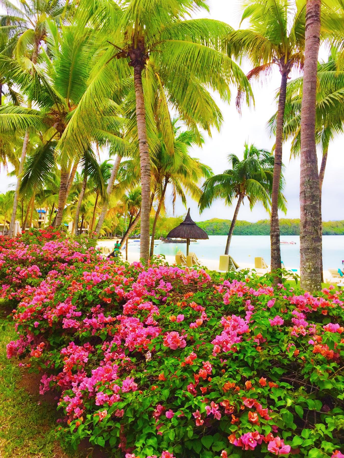 Mauritius photo 2