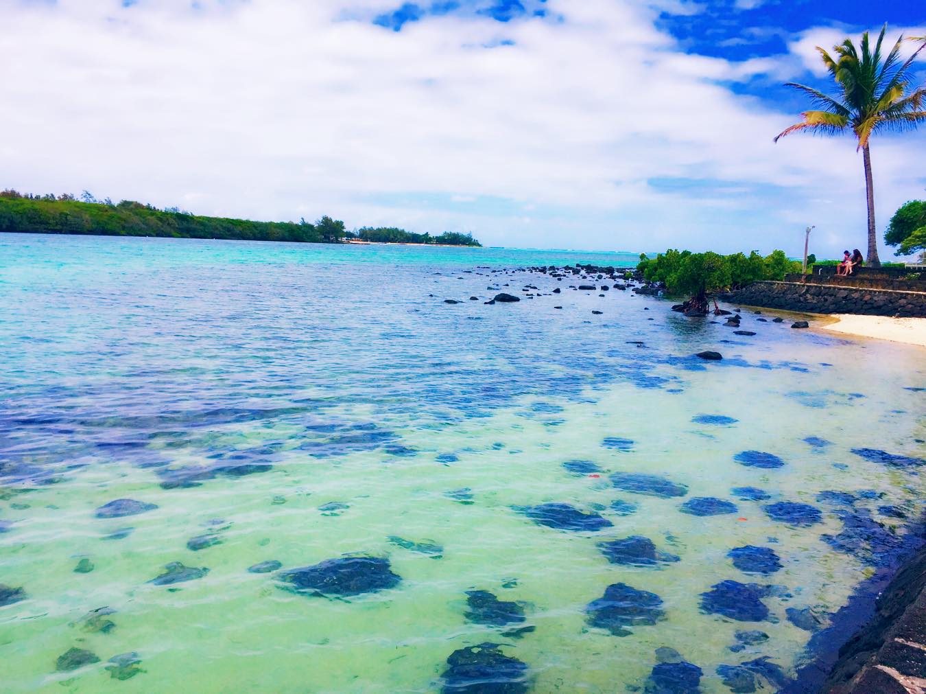 Mauritius photo 8