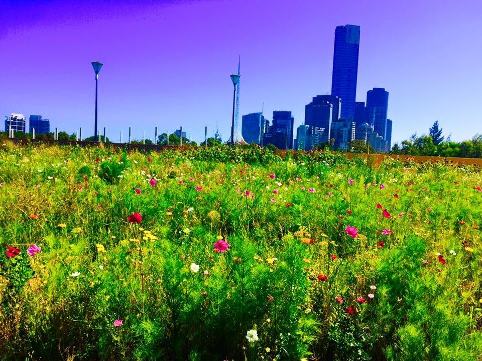 Melbourne, Australia photo 2