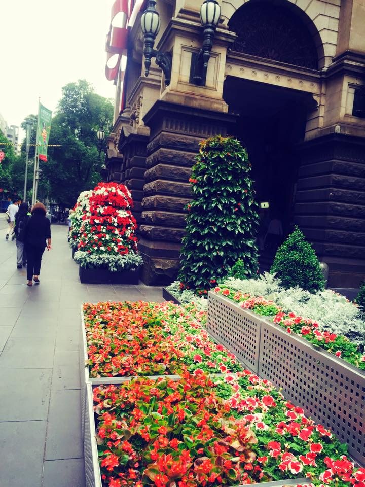 Melbourne, Australia photo 3
