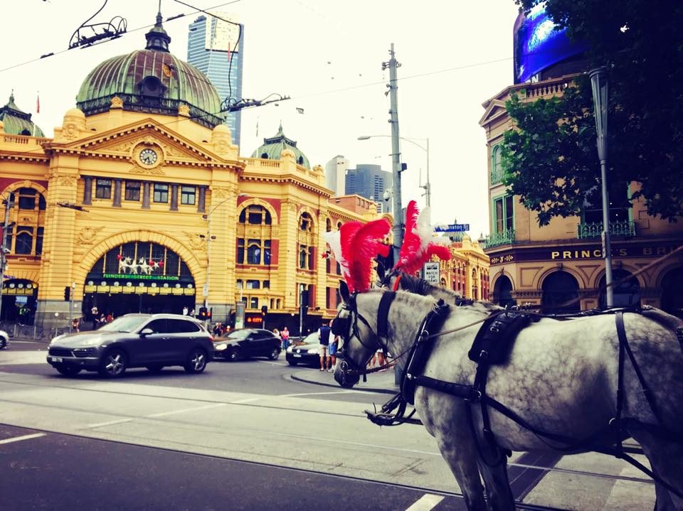 Melbourne, Australia photo 10