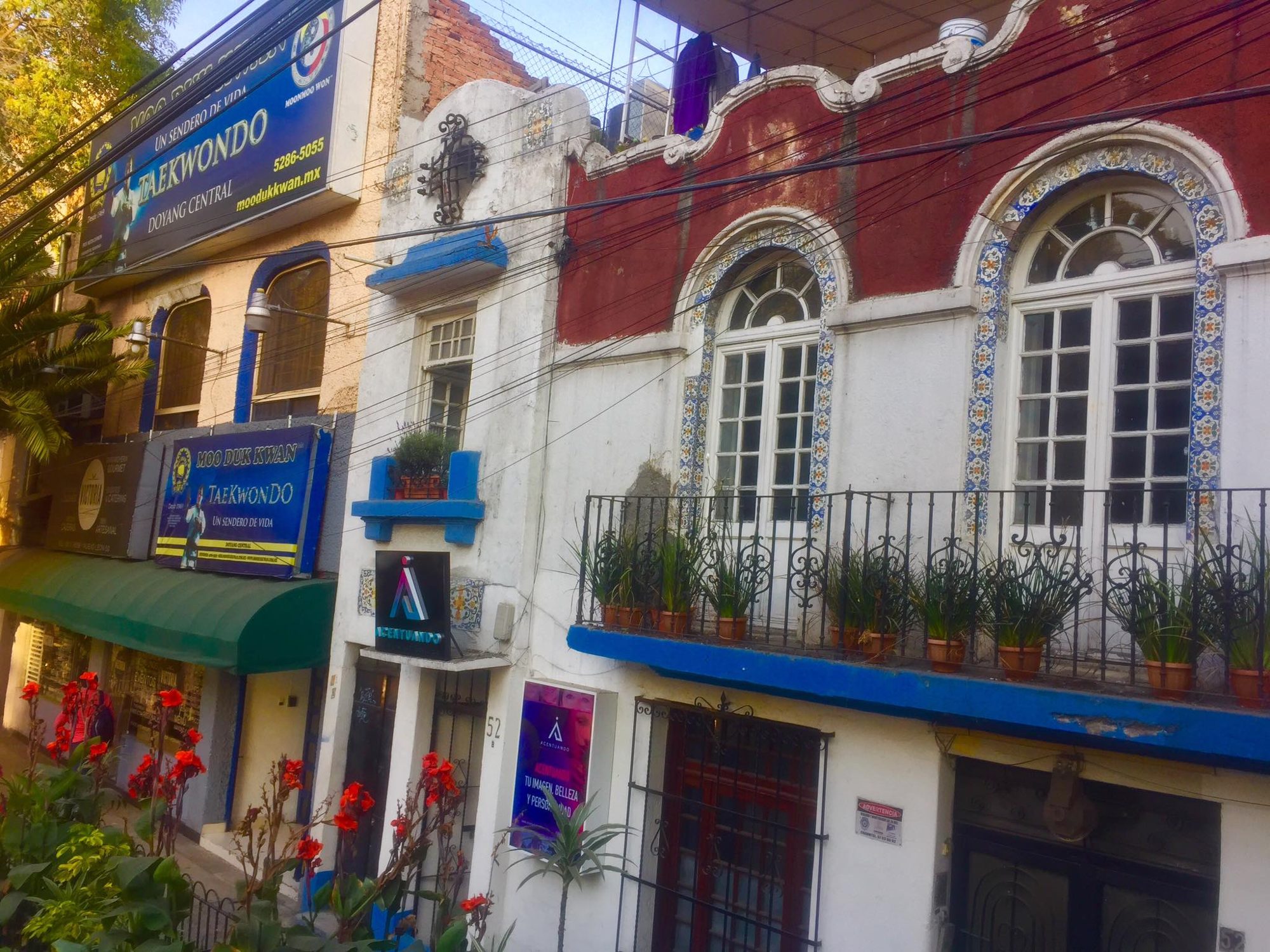 Mexico City, Mexico photo 8
