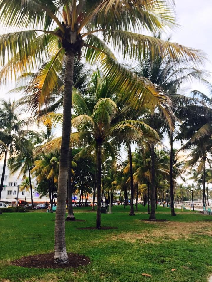 Miami, USA photo 1