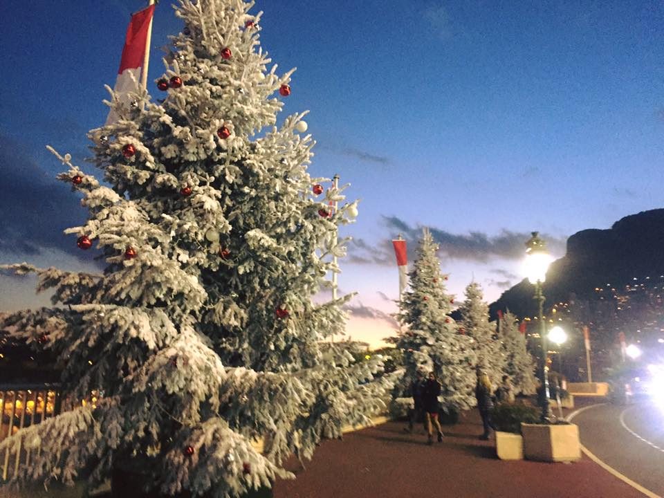 Monaco photo 1