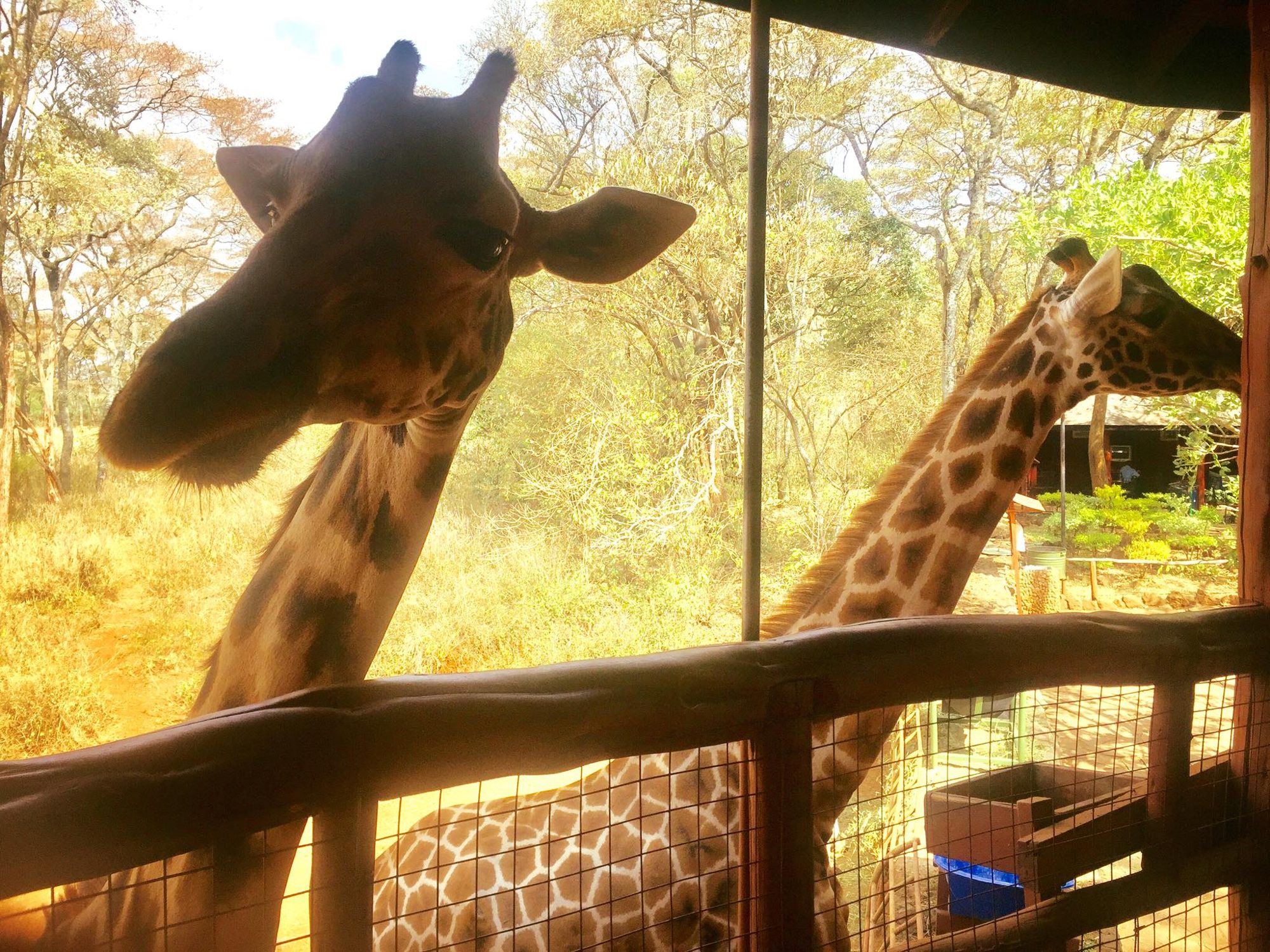 Nairobi, Kenya