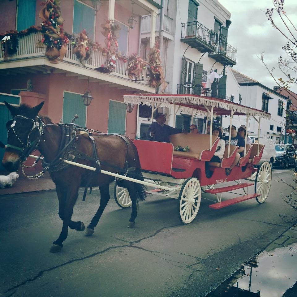 New Orleans, USA photo 6