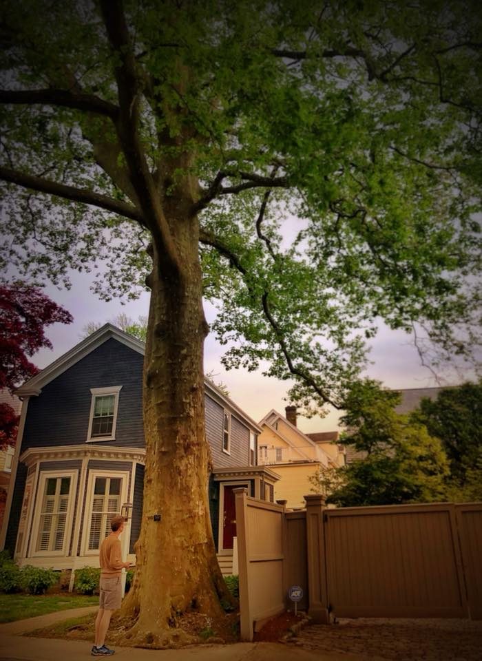 Newport, Rhode Island photo 4