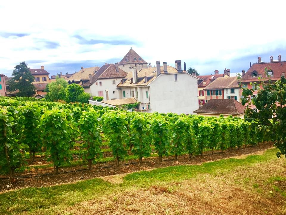 Nyon, Switzerland photo 5