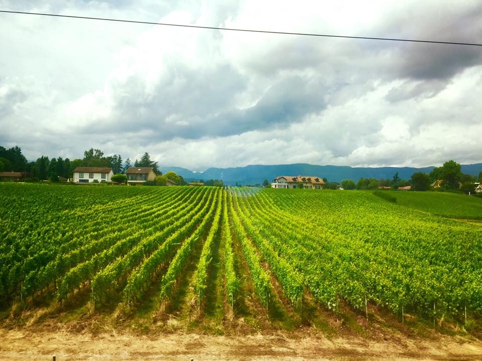 Nyon, Switzerland photo 23