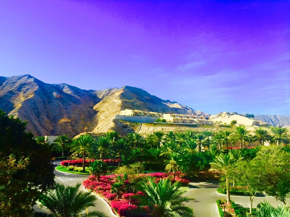 Muscat, Oman photo 17